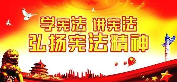 神奇小子龙之陷阱