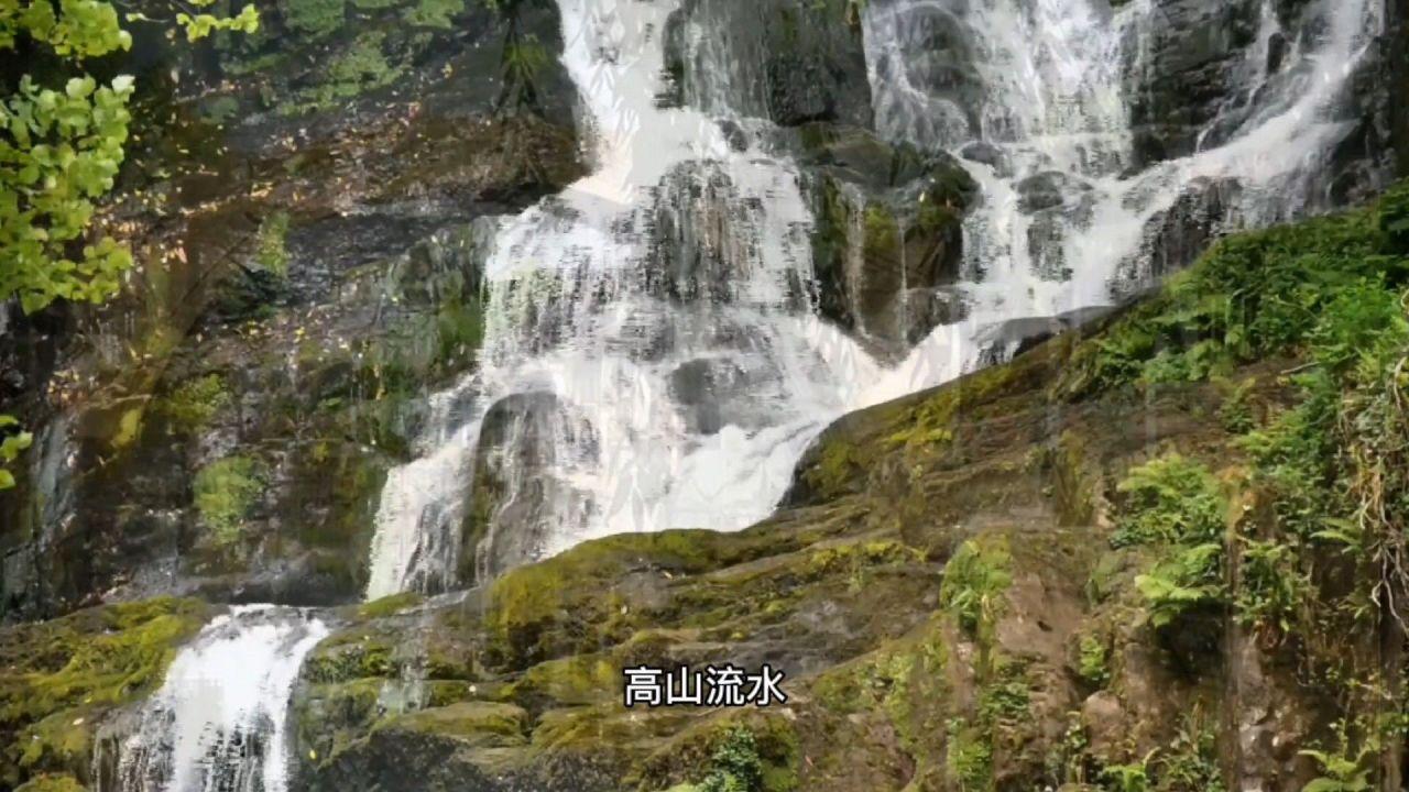 “三色”助力民族村描绘乡村振兴“画卷”
