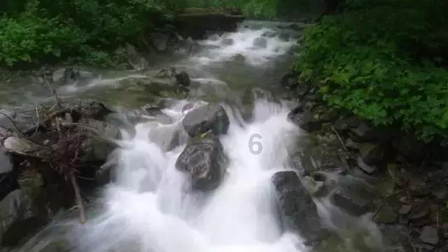 武魂2