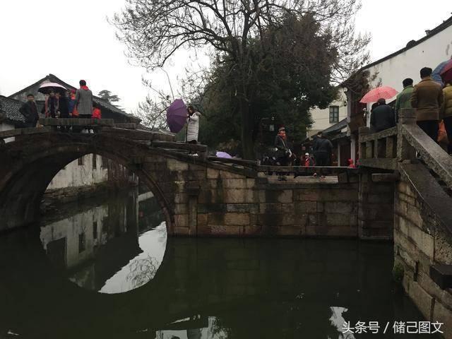 腐草化萤